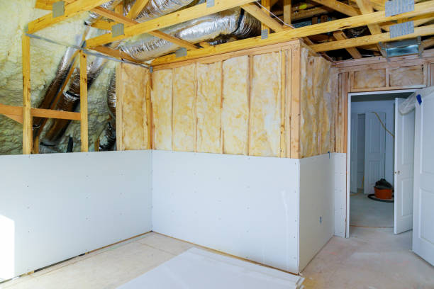 Best Insulation Inspection Services  in , ND