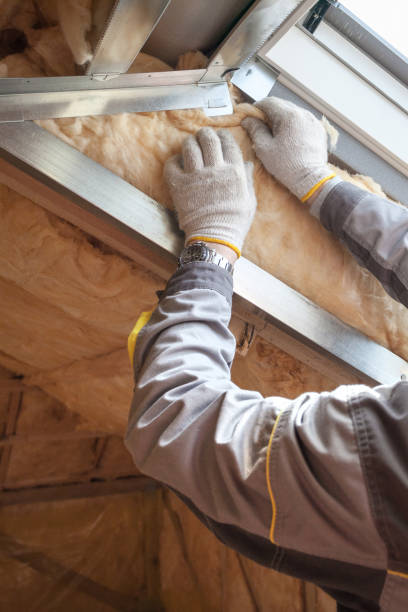 Best Residential Insulation Services  in , ND