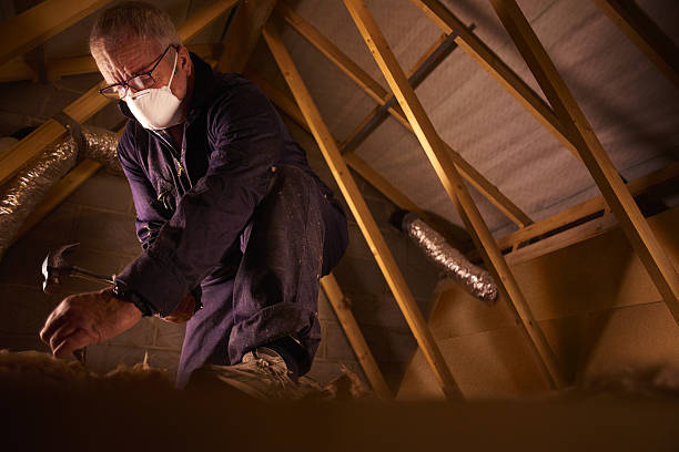 Best Garage Insulation Installation  in , ND