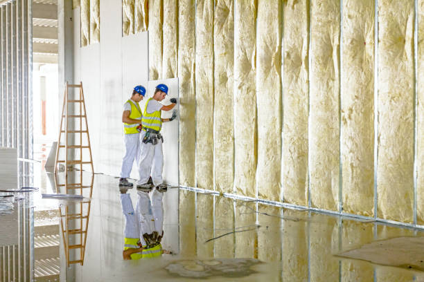 Best Insulation Replacement Services  in , ND